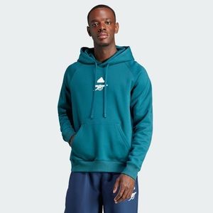 BNWT Men's Arsenal 23/24 Green LFSTLR Hoodie